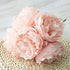 Tinsow Artificial Peony for Home Decoration, 5 Pcs Faux Peonies with Stems, Silk Flowers Bouquet for Wedding Decoration and Flower Arrangement...
