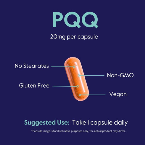 BESTVITE PQQ 20mg (Pyrroloquinoline Quinone) (120 Vegetarian Capsules) - No Stearates - Vegan - Non GMO - Gluten Free...