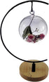 Archi G-Shaped Ornament Display Stand Iron Pothook Stand for Hanging Glass Terrarium/Picture with Wood Base (Iron Stand with Wood Base)...