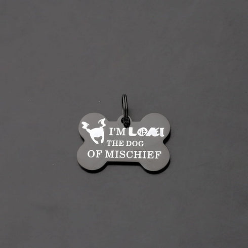 ENSIANTH Funny Dog Collar Tags Dog of Mischief Gift Dog Owner Gift Dog Lover Gift Pet Owner Gift Pet Collar Tags (Dog of Mischief)...