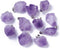 DanLingJewelry 30pcs Natural Amethyst Healing Point Chakra Reiki Nuggets Pendants for Necklace Earrings Bracelet Jewelry Making 12-20x20-26mm...