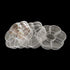 Plastic Clear Round Jewelry Box 7 Grids Travel Plum Flower Shaped Jewelry Bead Organizer Box Storage Container Case for Crafts Screws Small Parts ...