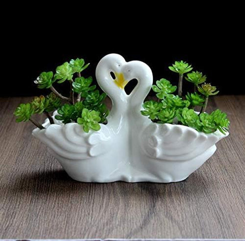 Funnuf Cute Animal White Ceramic Succulent Cactus Flower Planter for Home Garden Office Desktop, 1pcs, swan Couple...