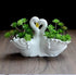 Funnuf Cute Animal White Ceramic Succulent Cactus Flower Planter for Home Garden Office Desktop, 1pcs, swan Couple...