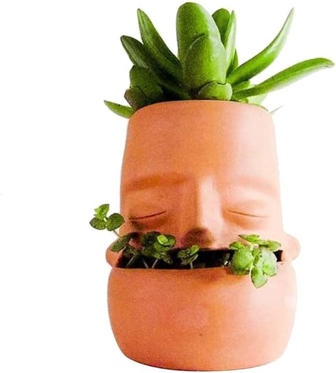 Terra Cotta Face Succulent Pots Planter Clay Pot Pretty Tribe Face Planter Holder Indoor Flower Pot Crafts Breathing Terracotta Pot DIY Decorative...