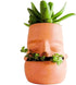 Terra Cotta Face Succulent Pots Planter Clay Pot Pretty Tribe Face Planter Holder Indoor Flower Pot Crafts Breathing Terracotta Pot DIY Decorative...