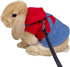 Small Pet Costume Rabbit Clothes Ferret Hoodies Sweatshirt Bunny Vest Harness and Leash Set Kitten Sweater Small Animals Outfits for Chihuahua Kit...