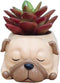 Home Decor Pot, Animal Succulent Planter Flowerpot for Home Office Desk Decoration (Sleep Pug)...