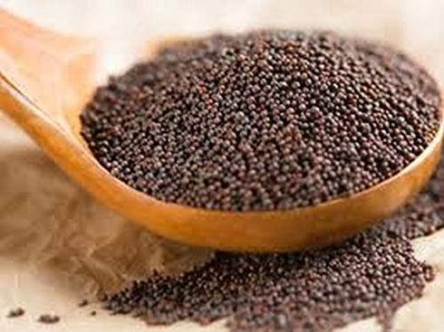 Indian Spice Mustard Seeds 7oz-...