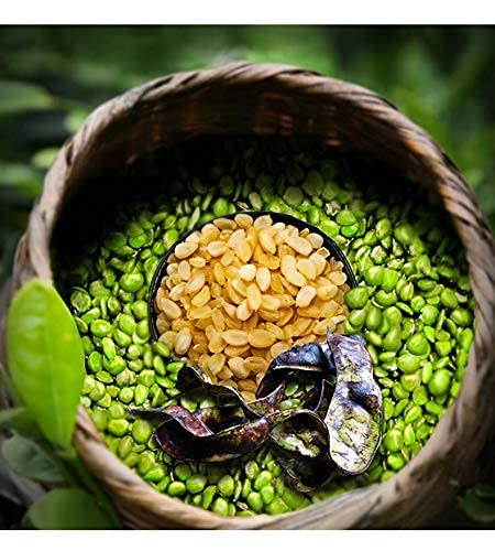 NESTLADY Gleditsia Sinensis (Snow Lotus Seed), 100% Natural, ???, ???, Plant Collagen and Fiber , Low Fat, Good With Peach Gum | Net weight: 100g ...