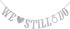 We Still Do Banner for Wedding Anniversary Party Decorations Sign Photo Prop (Silver Glitter)...