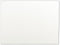 Winsor & Newton Artist's Canvas Board, 9" x 12",White...