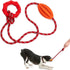 Interactive Dog Chew Toy with Rope for Aggressive Chewers - Tugging and Tossing - Puppy Training - Dispenses Treats and Food - Toothbrush for Pet ...