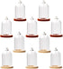 10 pieces glass dome with Wooden base glass vial pendant with Wood hollow glass Cabochons charms (38x25mm mixed color)...
