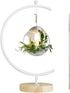 YY YEARCHY Ornament Display Stand Large Metal Air Plant Flower Pot Holder Iron Pothook for Hanging Glass Terrarium Globe Ball...