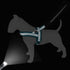 Didog No Pull Dog Harness with Breathable Mesh Padded, Full Reflective & Quick Fit Adjustable Vest Harness, Easy for Training Walking for Small & ...