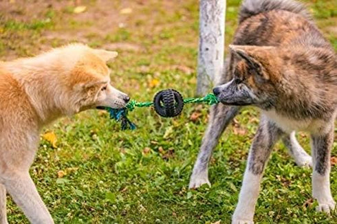 Pet Qwerks X-Tire Ball Dog Toys - Rope Interactive Chew Toy - Medium...