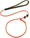 Dog Ultra-fine Leash,slip leads for dogs,Pet Training Leash,Training ?leading and holding suitable for Small,Medium or Large Dogs (orange, 1.1M lo...