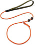 Dog Ultra-fine Leash,slip leads for dogs,Pet Training Leash,Training ?leading and holding suitable for Small,Medium or Large Dogs (orange, 1.1M lo...