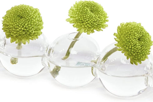 CHIVE ‘Caterpillar’ Bubble Bud Vase for Centerpieces — 6 Hole Multi Chamber Clear Glass Flower Vase for Short Flowers — Small, 10.25” Long...