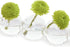 CHIVE ‘Caterpillar’ Bubble Bud Vase for Centerpieces — 6 Hole Multi Chamber Clear Glass Flower Vase for Short Flowers — Small, 10.25” Long...