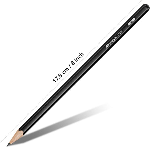 Professional Charcoal Pencils Drawing Set - 13 Pieces Neutral, HARD, SOFT, 14B, 12B Charcoal Pencils for Drawing, Sketching, Shading, Artist Penci...