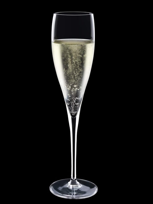 Luigi Bormioli Styles 6 oz Sparkling Wine Glasses (Set Of 2), Clear...