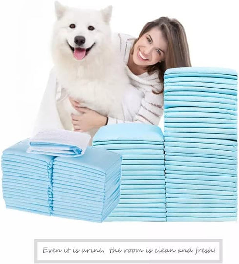 Dog Training Pad ,Puppy Pads, Pet Pee pad ,Regular Super Absorbent Quilted Puppy Pad with 10 Units, Blue, PP1...
