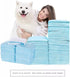 Dog Training Pad ,Puppy Pads, Pet Pee pad ,Regular Super Absorbent Quilted Puppy Pad with 10 Units, Blue, PP1...