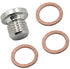 Alpha Rider Crankcase Engine Oil Drain Plug and Washers for Polaris RZR 570 800 900 1000, Sportsman 570 600 700 800 850 1000, Ranger 570 700 800 9...