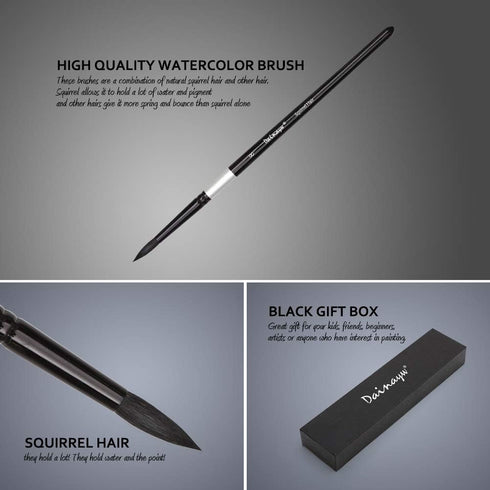 Dainayw Round Watercolor Paint Brushes 4Pcs Squirrel Hair Professional Brush for Artist Painting Watercolors, Acrylics, Inks,Gouache and Tempera, ...