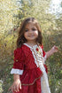 Little Adventures Winter Beauty Princess Dress Up Costume (Medium Age 3-5) - Machine Washable Child Pretend Play and Party Dress with No Glitter...