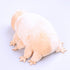Tardigrade Plush Waterbear Stuffed Animal Water Bear Sea Creature Plush Toy, 9"...