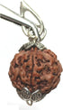 5 Face Rudraksha Pendant/ 5 Mukhi Rudraksha Pendant |Certified|...