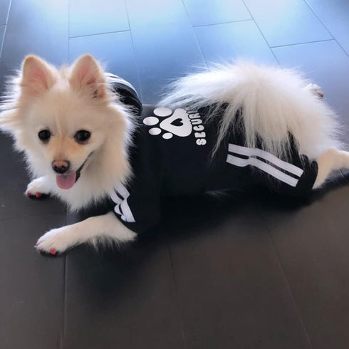 Dog Hoodie, Dog Clothes 4 Legs Sweatshirt Security Hoodies Jumpsuit Soft & Warm Sweater Outfit Pullover Dog Winter Coat, Dog Hoodies for Small Med...