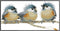 OHAOLYLE Cross Stitch Kits, Stamped Cross Stitching Kits Preprinted for Beginners DIY 11CT Hand Needlework Kits Embroidery Starter Kits Three Bird...