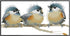 OHAOLYLE Cross Stitch Kits, Stamped Cross Stitching Kits Preprinted for Beginners DIY 11CT Hand Needlework Kits Embroidery Starter Kits Three Bird...