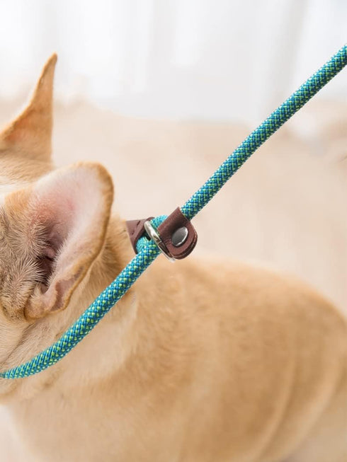 BTINESFUL 7FT Slip Lead Dog Leash, Strong Nylon Rope Leash, 1/4 & 1/2 inch Diam Dog Training Lead for Small Medium Large Dogs (1/2" * 7 FT, Green ...
