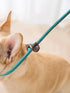 BTINESFUL 7FT Slip Lead Dog Leash, Strong Nylon Rope Leash, 1/4 & 1/2 inch Diam Dog Training Lead for Small Medium Large Dogs (1/2" * 7 FT, Green ...