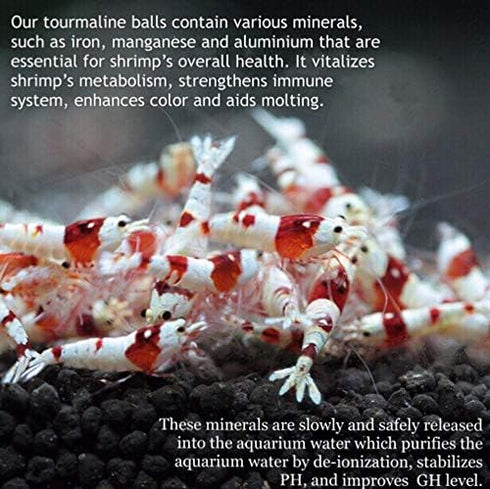 DreamDealsSG 100 Pieces Tourmaline Balls for Betta Fish Tank Accessories. Mineral Calcium Supplement. Live Shrimp Food, Betta Fish Food, and Crayf...