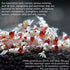 DreamDealsSG 100 Pieces Tourmaline Balls for Betta Fish Tank Accessories. Mineral Calcium Supplement. Live Shrimp Food, Betta Fish Food, and Crayf...