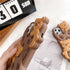SGVAHY Case for iPhone 11 Pro Max with Strap Lanyard Keychain Cute Bear Cookie Kawaii Funny Soft Silicone Shockproof Protective Cover for Women Gi...