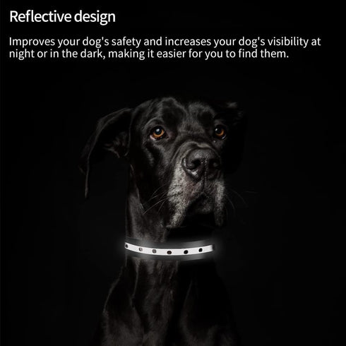 PetJoy Dog Collars Strap, Replacement Collar for Shock Reflective Collar, Adjustable Classic Dog Collar Strap for All Varieties Small Medium Large...