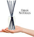 Urban Naturals Honeysuckle & Jasmine Reed Diffuser Oil Scented Sticks Set– Hyacinth, Cassis, Neroli & Geranium | Long Lasting Air Freshener for Th...