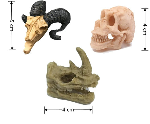 Toukero3e Terrarium Aquarium Skull Decor, 3 Pack Aquarium Skull Miniature Landscape, Rhino, Ram Head Skull, Ape Skull, Realistic Terrarium Habitat...