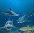 Gemini&Genius Great White Shark Hammerhead Shark Toy Set - Sea Animal Action Figure Ocean Model Toy Set -10 Inches Length -Educational, Role Play,...