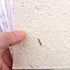 Textured Handmade Paper Sheets for Crafts, A5 Thick Rough Mulberry Recycled Scrapbook Papers for Card Making, Mixed Media, Embossed, DIY Junk Jour...