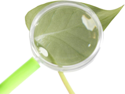 Huji 24 Pack Plastic Magnifying Glasses - Perfect for Kids' Parties, Birthdays, and Educational School Activities...