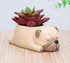 Home Decor Pot, Animal Succulent Planter Flowerpot for Home Office Desk Decoration (Sleep Pug)...