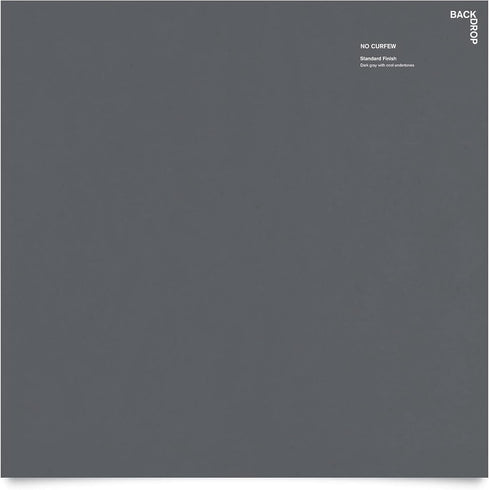 BACKDROP Premium Interior Paint Large Adhesive Paint Swatch NO CURFEW - Dark Gray With Cool Undertones 12" x 12" Color Sample...